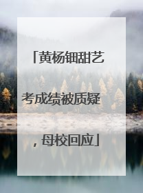 黄杨钿甜艺考成绩被质疑，母校回应