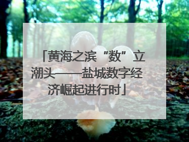 黄海之滨“数”立潮头——盐城数字经济崛起进行时