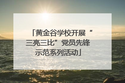 黄金谷学校开展“三亮三比”党员先锋示范系列活动