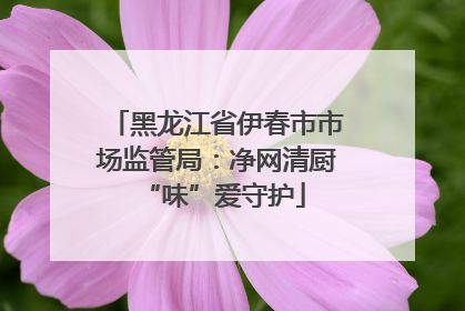 黑龙江省伊春市市场监管局：净网清厨 “味”爱守护