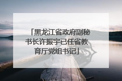 黑龙江省政府副秘书长许振宇已任省教育厅党组书记