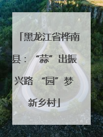 黑龙江省桦南县：“蒜”出振兴路 “园”梦新乡村