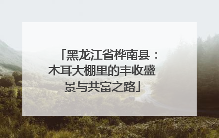 黑龙江省桦南县：木耳大棚里的丰收盛景与共富之路