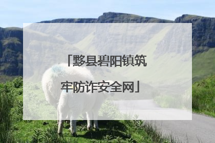 黟县碧阳镇筑牢防诈安全网
