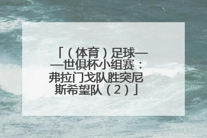 （体育）足球——世俱杯小组赛：弗拉门戈队胜突尼斯希望队（2）