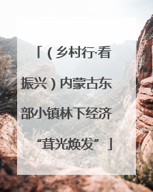 （乡村行·看振兴）内蒙古东部小镇林下经济“茸光焕发”