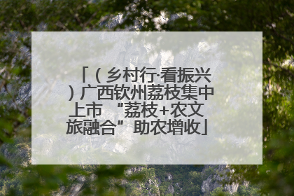 （乡村行·看振兴）广西钦州荔枝集中上市 “荔枝+农文旅融合”助农增收