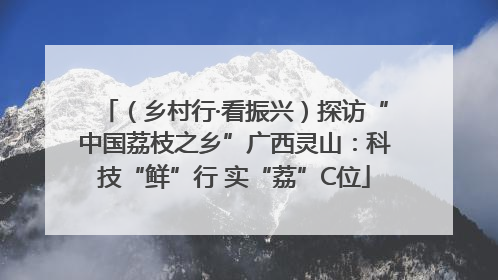 （乡村行·看振兴）探访“中国荔枝之乡”广西灵山：科技“鲜”行 实“荔”C位
