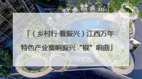 （乡村行·看振兴）江西万年特色产业奏响振兴“椒”响曲