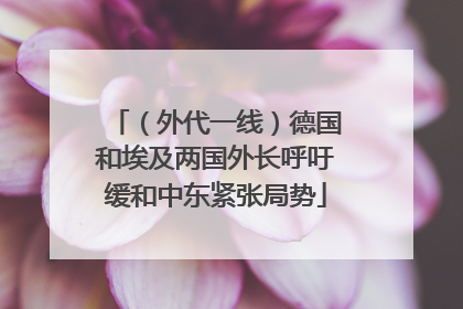（外代一线）德国和埃及两国外长呼吁缓和中东紧张局势