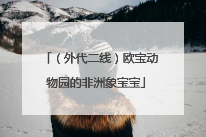 （外代二线）欧宝动物园的非洲象宝宝