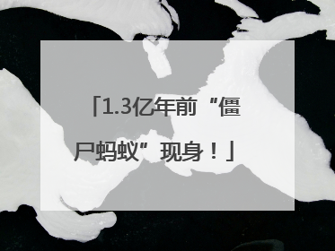 1.3亿年前“僵尸蚂蚁”现身！