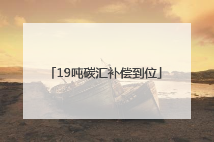 19吨碳汇补偿到位