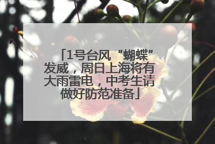 1号台风“蝴蝶”发威，周日上海将有大雨雷电，中考生请做好防范准备
