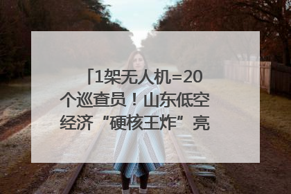 1架无人机=20个巡查员！山东低空经济“硬核王炸”亮相青岛，下一个万亿赛道藏在这里