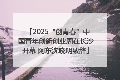 2025“创青春”中国青年创新创业周在长沙开幕 阿东沈晓明致辞