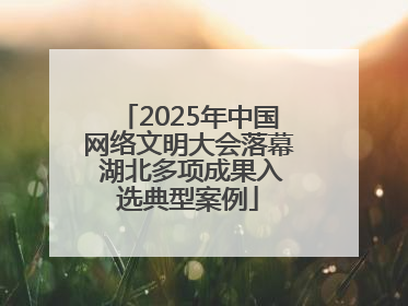2025年中国网络文明大会落幕 湖北多项成果入选典型案例
