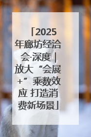 2025年廊坊经洽会·深度｜放大“会展+”乘数效应 打造消费新场景