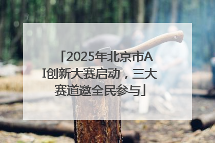 2025年北京市AI创新大赛启动，三大赛道邀全民参与