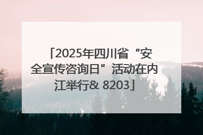 2025年四川省“安全宣传咨询日”活动在内江举行& 8203
