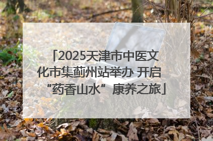 2025天津市中医文化市集蓟州站举办 开启“药香山水”康养之旅