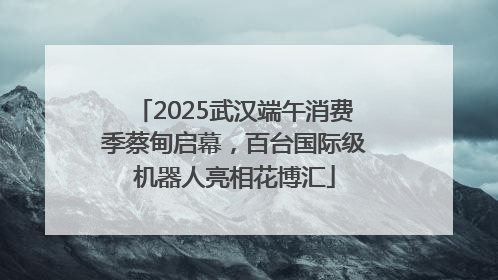 2025武汉端午消费季蔡甸启幕，百台国际级机器人亮相花博汇