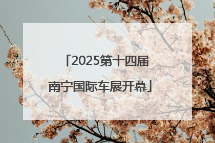 2025第十四届南宁国际车展开幕