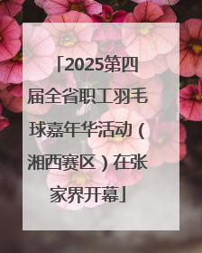 2025第四届全省职工羽毛球嘉年华活动（湘西赛区）在张家界开幕