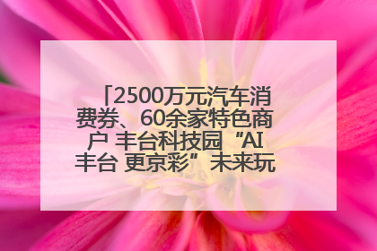 2500万元汽车消费券、60余家特色商户 丰台科技园“AI丰台 更京彩”未来玩家市集活动正式开幕