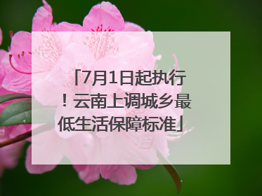 7月1日起执行！云南上调城乡最低生活保障标准