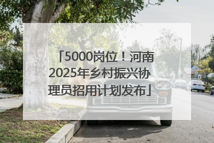 5000岗位！河南2025年乡村振兴协理员招用计划发布