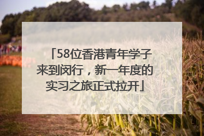 58位香港青年学子来到闵行，新一年度的实习之旅正式拉开