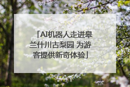 AI机器人走进皋兰什川古梨园 为游客提供新奇体验
