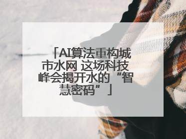 AI算法重构城市水网 这场科技峰会揭开水的“智慧密码”