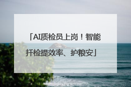 AI质检员上岗！智能扦检提效率、护粮安