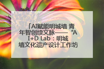 AI赋能明城墙 青年智创续文脉——“AI+D Lab：明城墙文化遗产设计工作坊”在南京开营