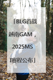 BLG首战越南GAM，2025MSI赛程公布