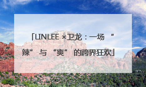 LINLEE ×卫龙：一场 “辣” 与 “爽” 的跨界狂欢