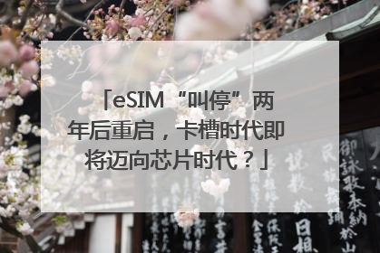 eSIM“叫停”两年后重启，卡槽时代即将迈向芯片时代？